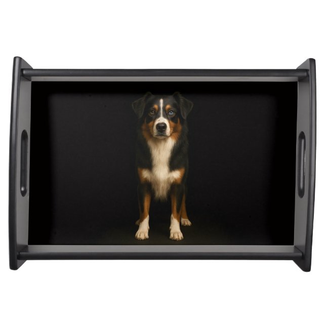 Black 4 Luxe serving tray, Aussie Shepherd Dog Tray (Front)