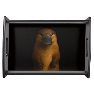 Black 4 Luxe serving tray, Elegant Platypus Tray
