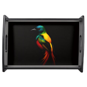 Black 4 Luxe serving tray, Rainbow Tropical Bird Tray