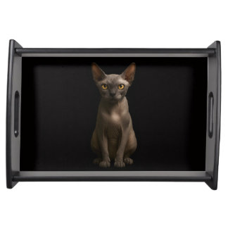 Black 4 Luxe serving tray, Sphynx Cat Tray
