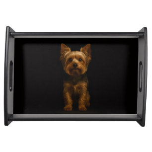 Black 4 Luxe serving tray, Yorkshire Terrier Serving Tray