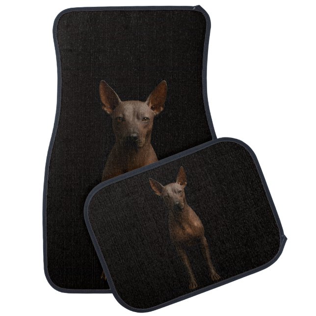 Black 4 Luxe Set of car mats, Argentina Pila Dog Car Floor Mat (Set)