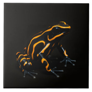 Black 4 Luxe Tile with Black Orange Tropical Frog