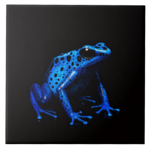 Black 4 Luxe Tile with Blue Electric Frog