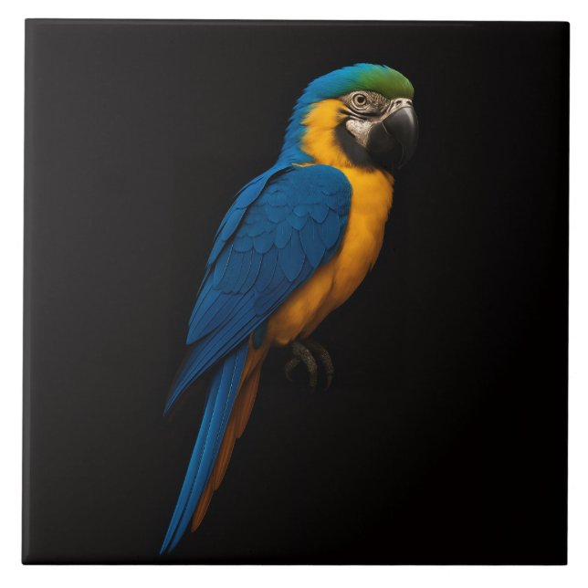 Black 4 Luxe Tile with Blue Yellow Macaw (Front)