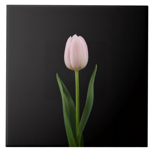 Black 4 Luxe Tile with Blush Pink Tulip (Front)