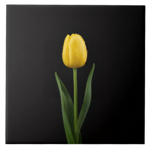 Black 4 Luxe Tile with Golden Yellow Tulip