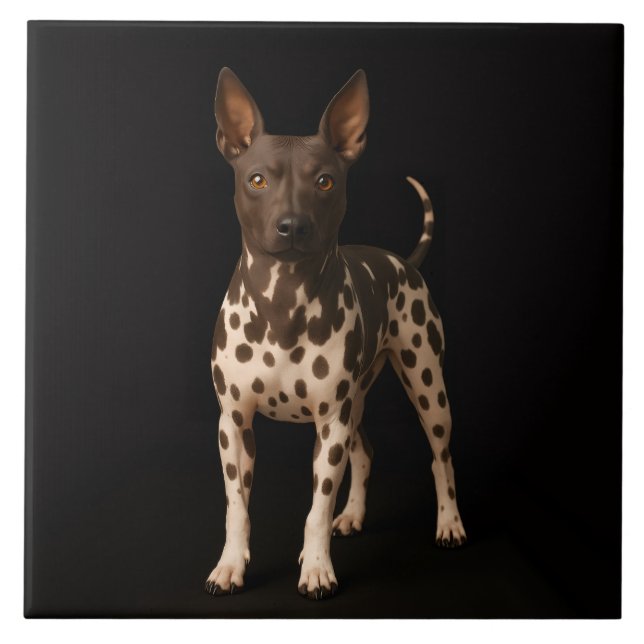 Black 4 Luxe Tile with Hairless Terrier Dog (Front)