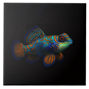Black 4 Luxe Tile with Mandarin Dragonet Fish