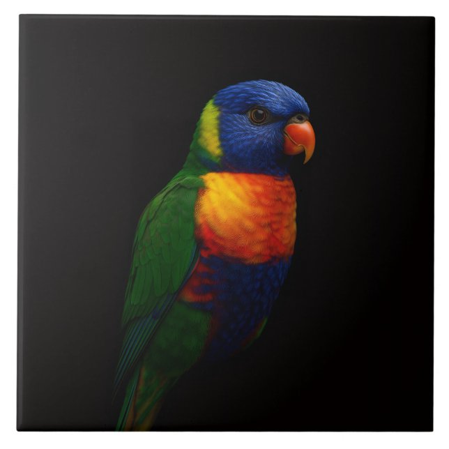 Black 4 Luxe Tile with Rainbow Lorikeet Parrot (Front)