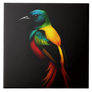 Black 4 Luxe Tile with Rainbow Tail Tropical Bird