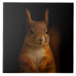Black 4 Luxe Tile with Red Squirrel