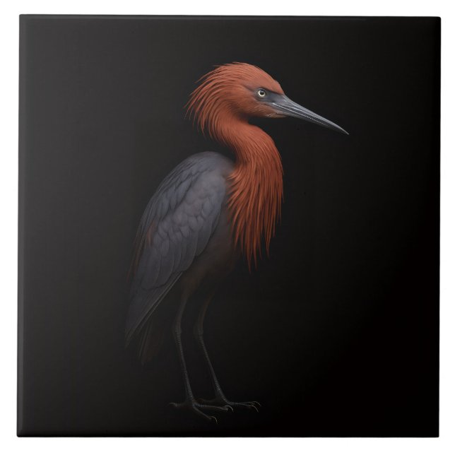 Black 4 Luxe Tile with Reddish Egret (Front)