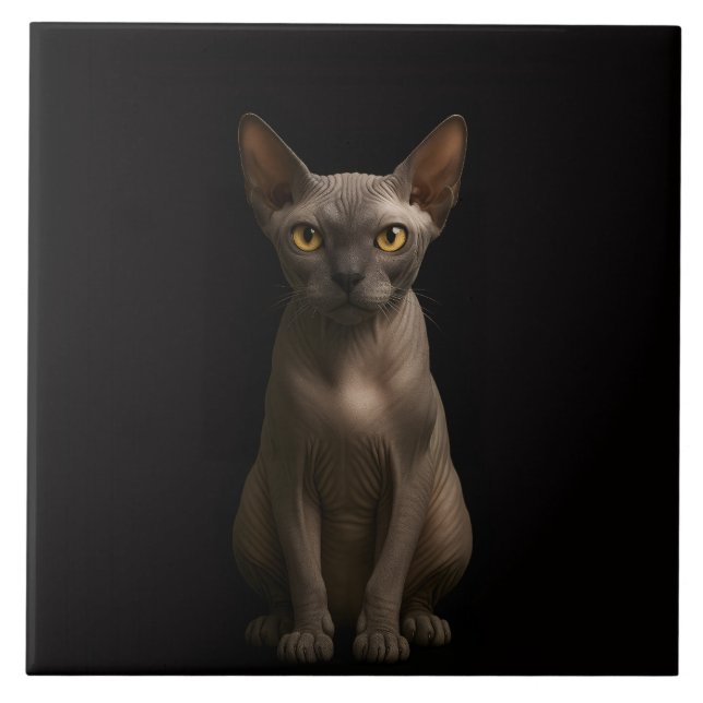 Black 4 Luxe Tile with Sphynx Cat (Front)