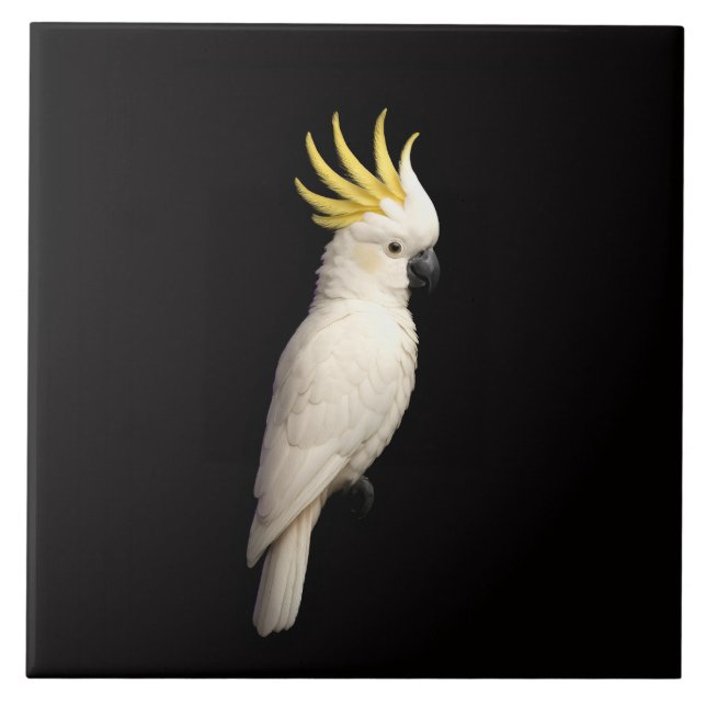 Black 4 Luxe Tile with Sulphur Crested Cockatoo (Front)