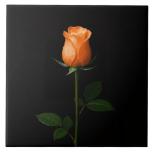 Black 4 Luxe Tile with Sunset Orange Rose