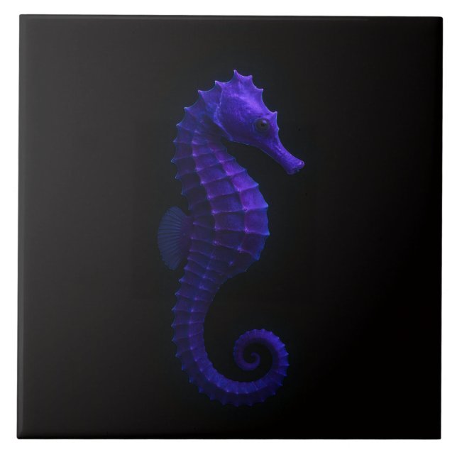 Black 4 Luxe Tile with Violet Blue Seahorse (Front)
