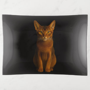 Black 4 Luxe trinket tray, Abyssinian Beauty Cat Tray