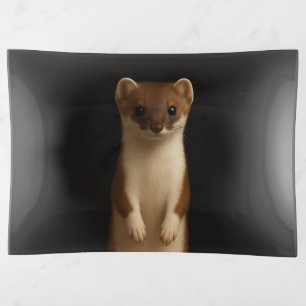 Black 4 Luxe trinket tray, Elegant Weasel Tray