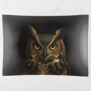 Black 4 Luxe trinket tray, Golden Eye Owl Tray