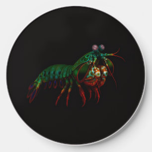 Black 4 Luxe wireless charger, Mantis Shrimp Charger