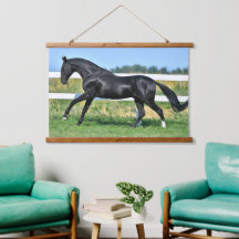 Black Akhal Teke Stallion Galloping Paddock Fence
