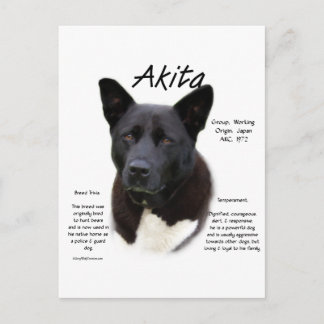 Black Akita History Design Postcard