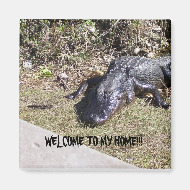 Black Alligator Welcomes You to His Home Magnet (Front)