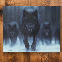 Black Alpha Wolf Running in the Snow