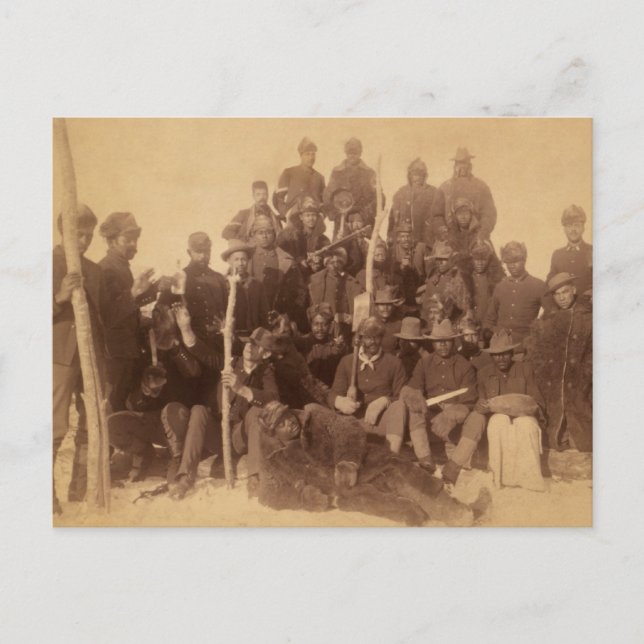 Black American Fighting Cavalry: Buffalo Warriors Postcard (Front)