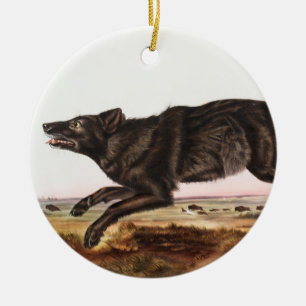 Black American Wolf (Canis lupus) Illustration Ceramic Ornament