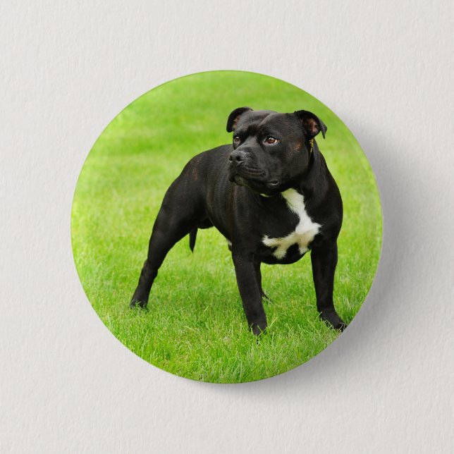 Black Amstaff Button (Front)
