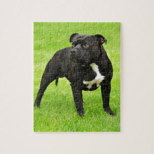 Black Amstaff Jigsaw Puzzle