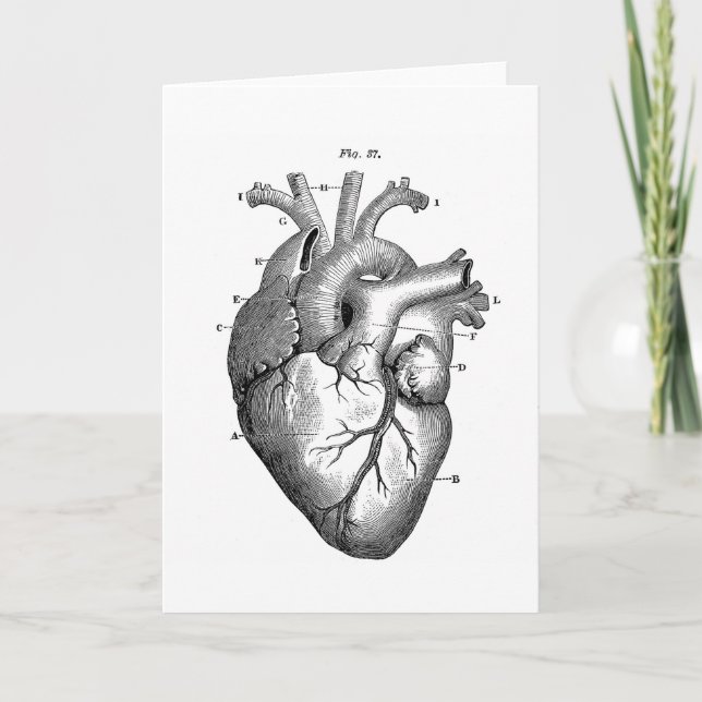 Black Anatomical Heart Card (Front)