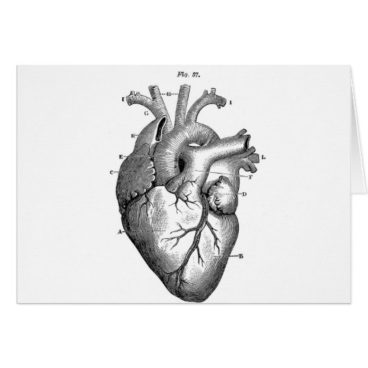 Black Anatomical Heart Cards (Front Horizontal)
