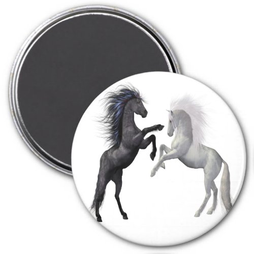 Black and a white Horse that are fighting Magnet