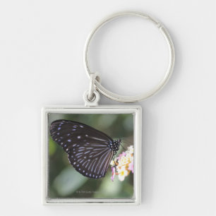 Black and blue butterfly on flower keychain