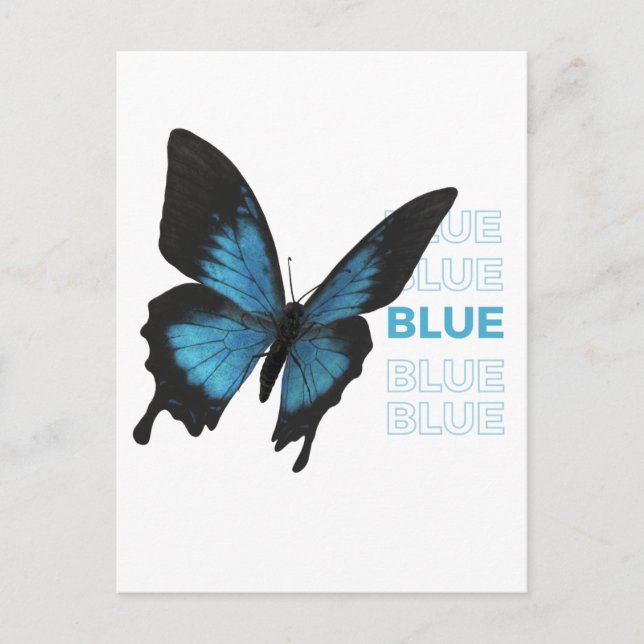 Black and Blue Butterfly Postcard (Front)