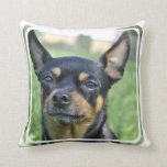 Black and Brown Chihuahua Pillow