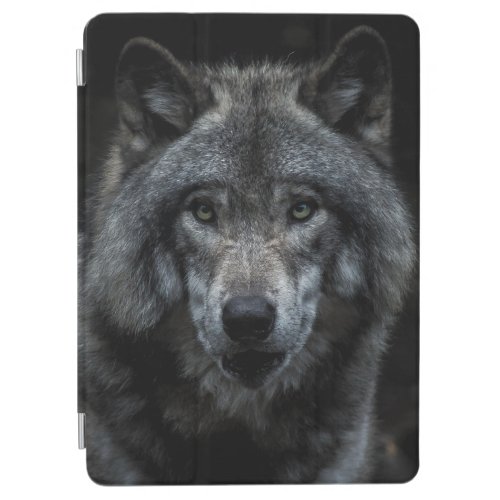 BLACK AND BROWN WOLF PAINTING iPad AIR COVER