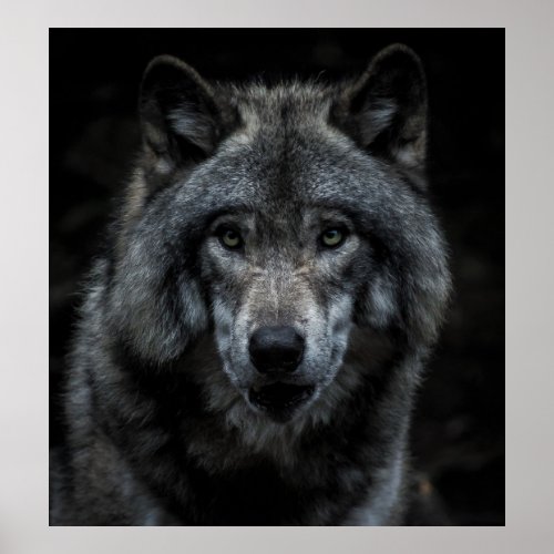 BLACK AND BROWN WOLF PAINTING POSTER