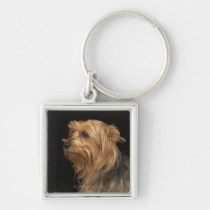 Black and brown Yorkie left profile on black Keychain