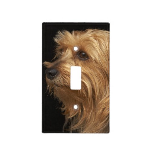 Black and brown Yorkie left profile on black Light Switch Cover