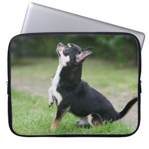 Black and Cream Chihuahua Laptop Sleeve