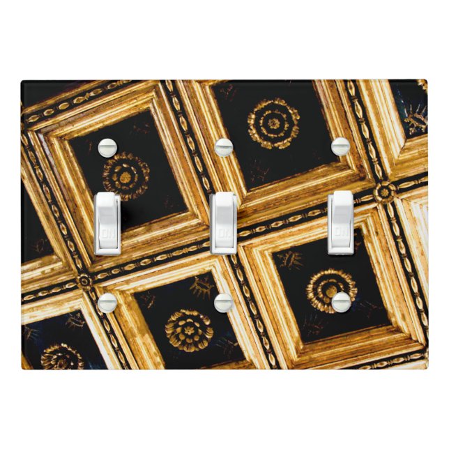 Black and Gold Architecture  Light Switch Cover (In Situ)