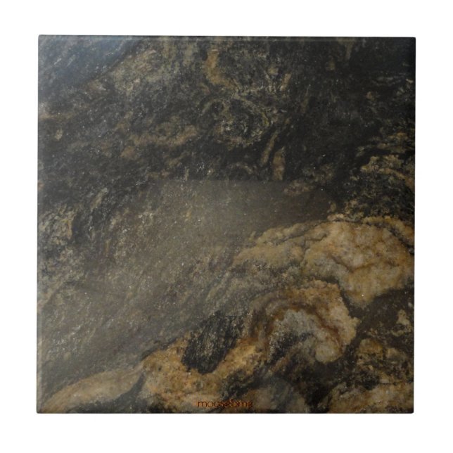Black and Gold Granite Ceramic Tile (Front)