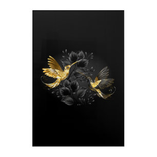 Black and Gold Hummingbird Acrylic Print