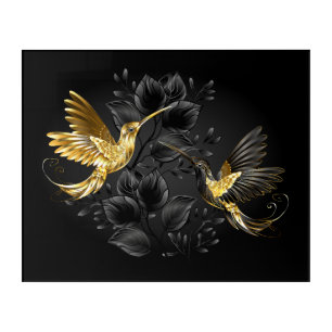 Black and Gold Hummingbird Acrylic Print