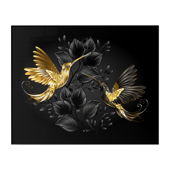Black and Gold Hummingbird Acrylic Print (Front)