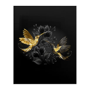 Black and Gold Hummingbird Acrylic Print